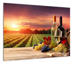 Obraz winnicy z winem (70x50 cm)