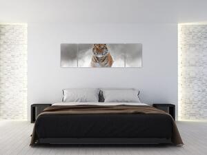 Obraz tygrysa biegnącego po śniegu (170x50 cm)