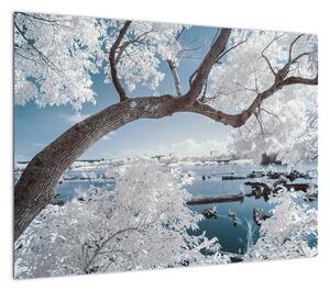 Obraz ośnieżonego drzewa nad wodą (70x50 cm)