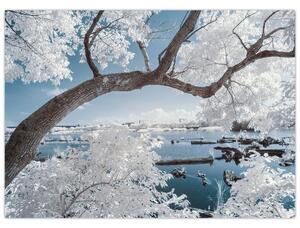 Obraz ośnieżonego drzewa nad wodą (70x50 cm)