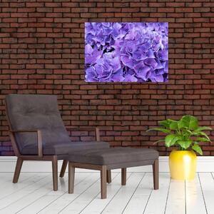 Obraz fioletowych kwiatów (70x50 cm)