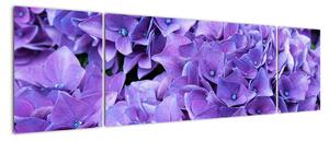 Obraz fioletowych kwiatów (170x50 cm)