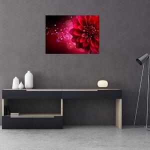 Obraz czerwonego kwiatu (70x50 cm)