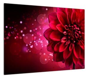 Obraz czerwonego kwiatu (70x50 cm)