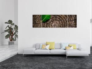 Obraz liścia na pniu drzewa (170x50 cm)