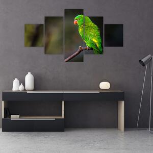 Obraz papugi na gałęzi (125x70 cm)