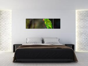 Obraz papugi na gałęzi (170x50 cm)