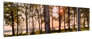Obraz drzew nad jeziorem (170x50 cm)