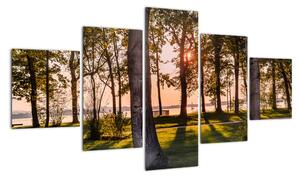 Obraz drzew nad jeziorem (125x70 cm)