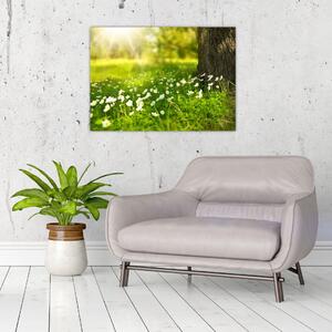 Obraz polany i kwiatów (70x50 cm)