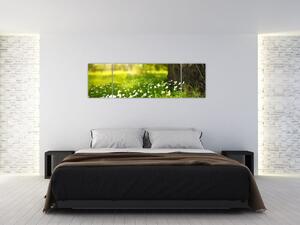 Obraz polany i kwiatów (170x50 cm)