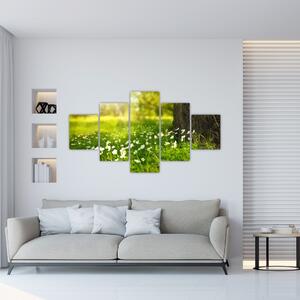 Obraz polany i kwiatów (125x70 cm)