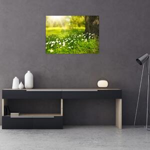 Obraz polany i kwiatów (70x50 cm)