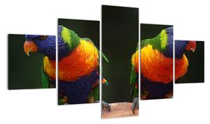 Obraz papug (125x70 cm)