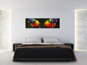 Obraz papug (170x50 cm)