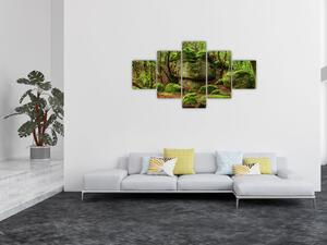 Obraz magicznego lasu (125x70 cm)