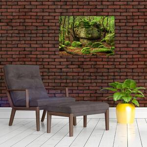Obraz magicznego lasu (70x50 cm)