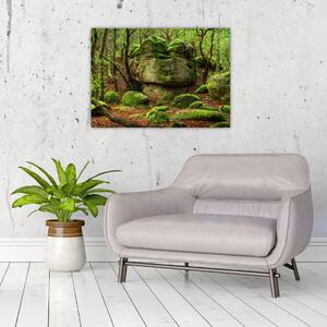 Obraz magicznego lasu (70x50 cm)