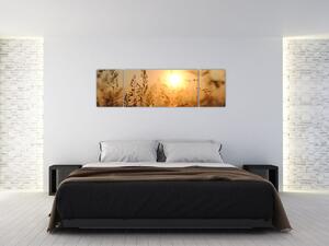 Obraz wschodu słońca (170x50 cm)