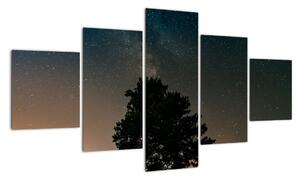 Obraz nocnego nieba z drzewami (125x70 cm)