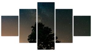 Obraz nocnego nieba z drzewami (125x70 cm)