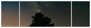 Obraz nocnego nieba z drzewami (170x50 cm)