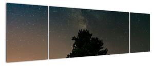 Obraz nocnego nieba z drzewami (170x50 cm)