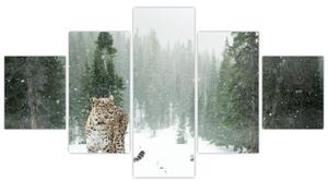 Obraz lamparta na śniegu (125x70 cm)