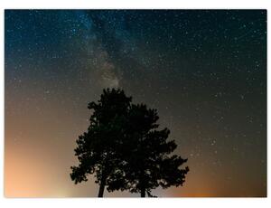 Obraz nocnego nieba z drzewami (70x50 cm)