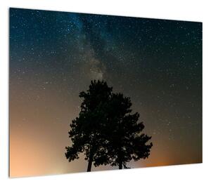 Obraz nocnego nieba z drzewami (70x50 cm)
