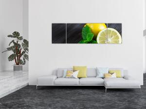 Obraz cytryn i mięty na stole (170x50 cm)