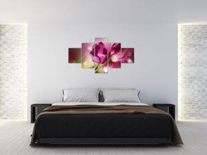 Obraz różowych tulipanów (125x70 cm)