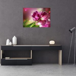 Obraz różowych tulipanów (70x50 cm)