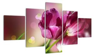 Obraz różowych tulipanów (125x70 cm)
