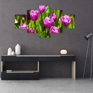 Obraz tulipanów na łące (125x70 cm)