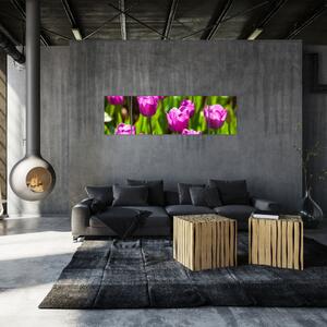 Obraz tulipanów na łące (170x50 cm)