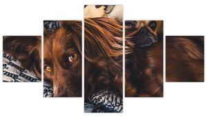 Obraz leżących psów (125x70 cm)