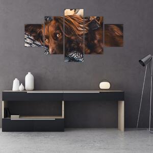 Obraz leżących psów (125x70 cm)