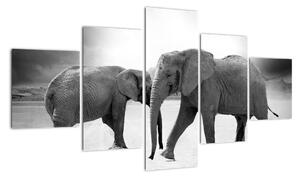 Obraz słoni (125x70 cm)