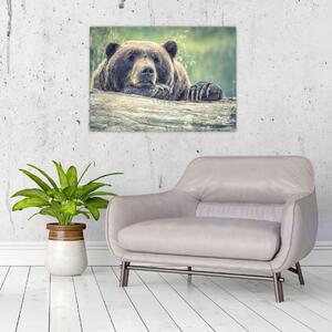 Obraz niedźwiedzia (70x50 cm)