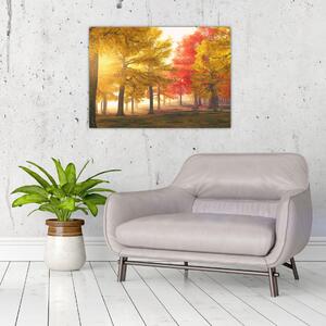 Obraz jesiennych drzew (70x50 cm)