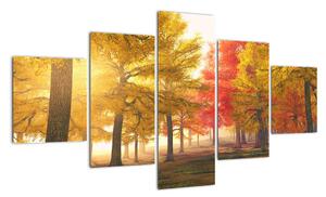 Obraz jesiennych drzew (125x70 cm)