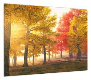 Obraz jesiennych drzew (70x50 cm)