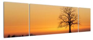 Obraz zachodu słońca na łące (170x50 cm)