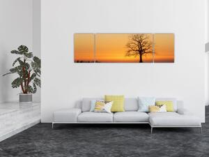 Obraz zachodu słońca na łące (170x50 cm)