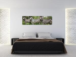 Obraz z zebrami (170x50 cm)