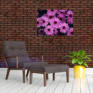 Obraz różowych kwiatów (70x50 cm)