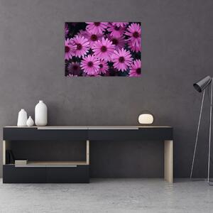 Obraz różowych kwiatów (70x50 cm)