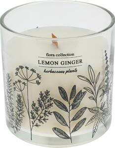 Świeczka zapachowa Flora Collection, Lemon Ginger, 10 x 10 cm