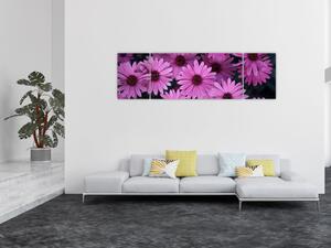 Obraz różowych kwiatów (170x50 cm)